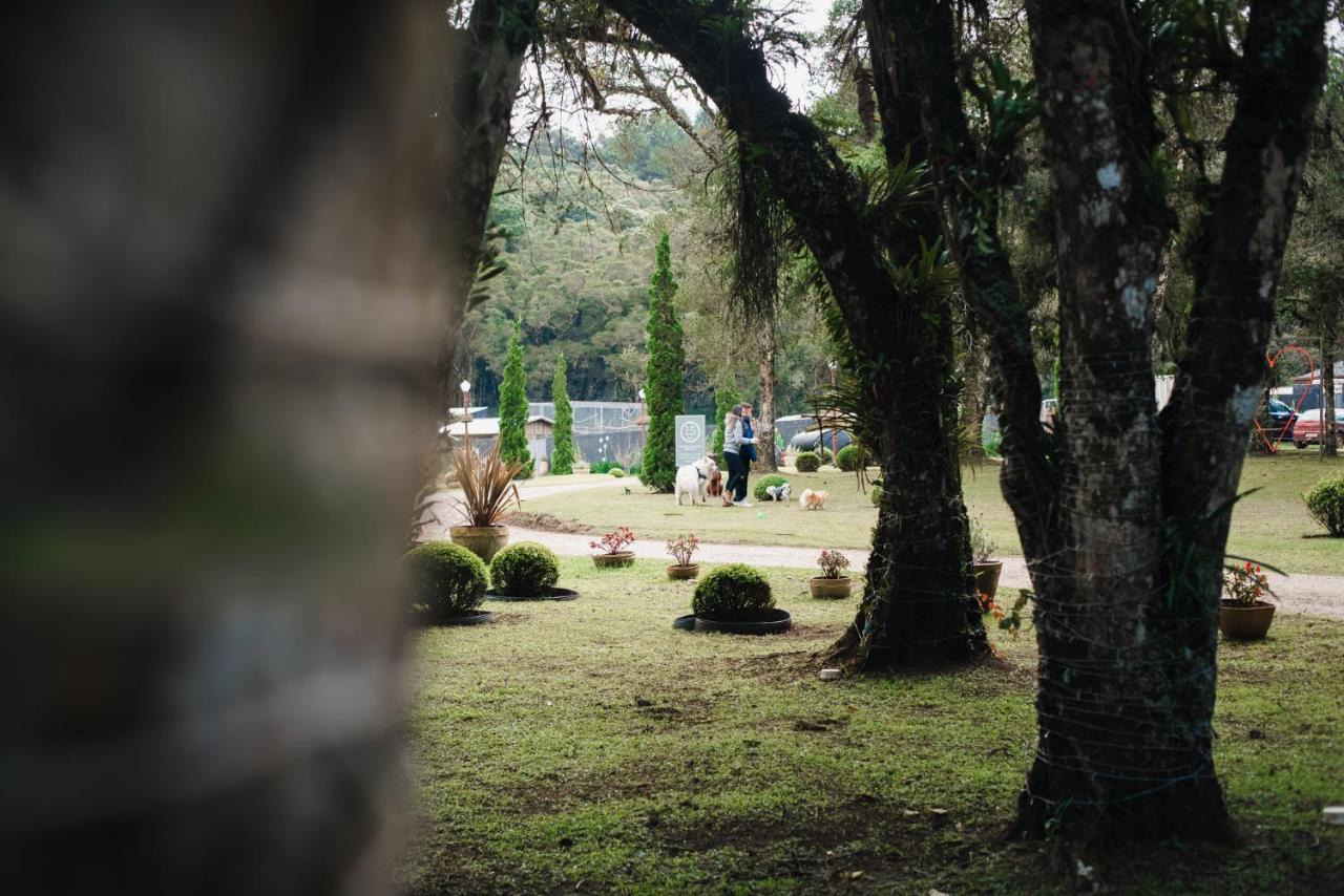 Pousada Roehsler Monte Verde  Exteriér fotografie