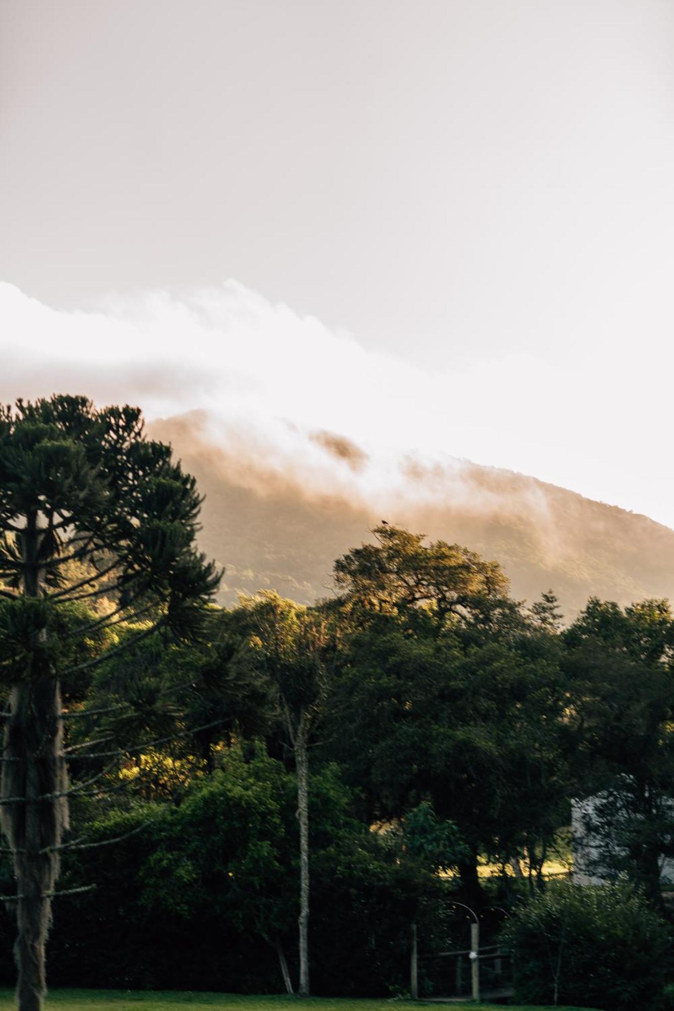 Pousada Roehsler Monte Verde  Exteriér fotografie